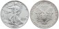 Preview: USA 1 Dollar 1989 Silver Eagle - 1 Unze Feinsilber