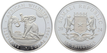 Preview: Somalia 100 Schilling Silber 2024 Elefant - 1 Unze Feinsilber