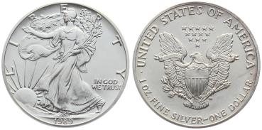 USA 1 Dollar 1989 Silver Eagle - 1 Unze Feinsilber