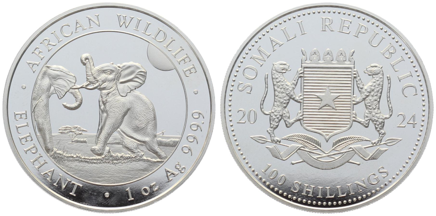 Somalia 100 Schilling Silber 2024 Elefant - 1 Unze Feinsilber